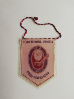 /album/kladno3/kladno-tj-poldi-sonp-11-jpg/